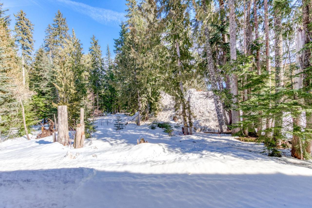 Appartamento The Chefs Chalet At Collins Lake Government Camp Esterno foto